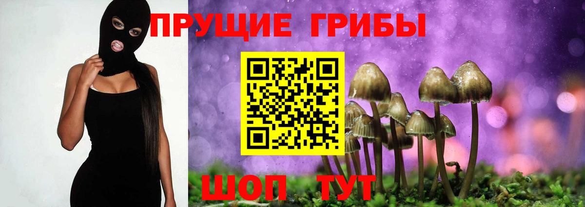 Псилоцибиновые грибы мухоморы Ефремов
